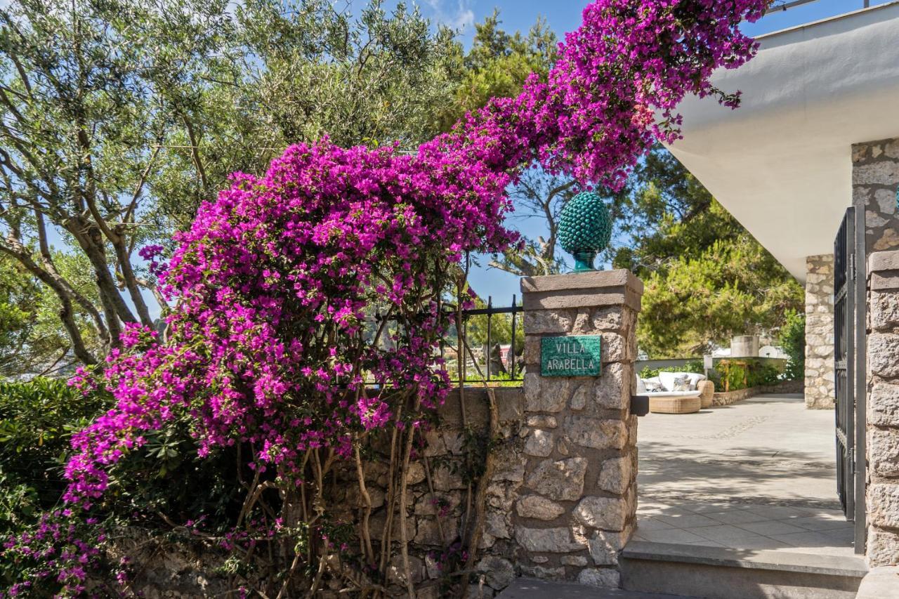 Villa Arabella Capri Exterior foto